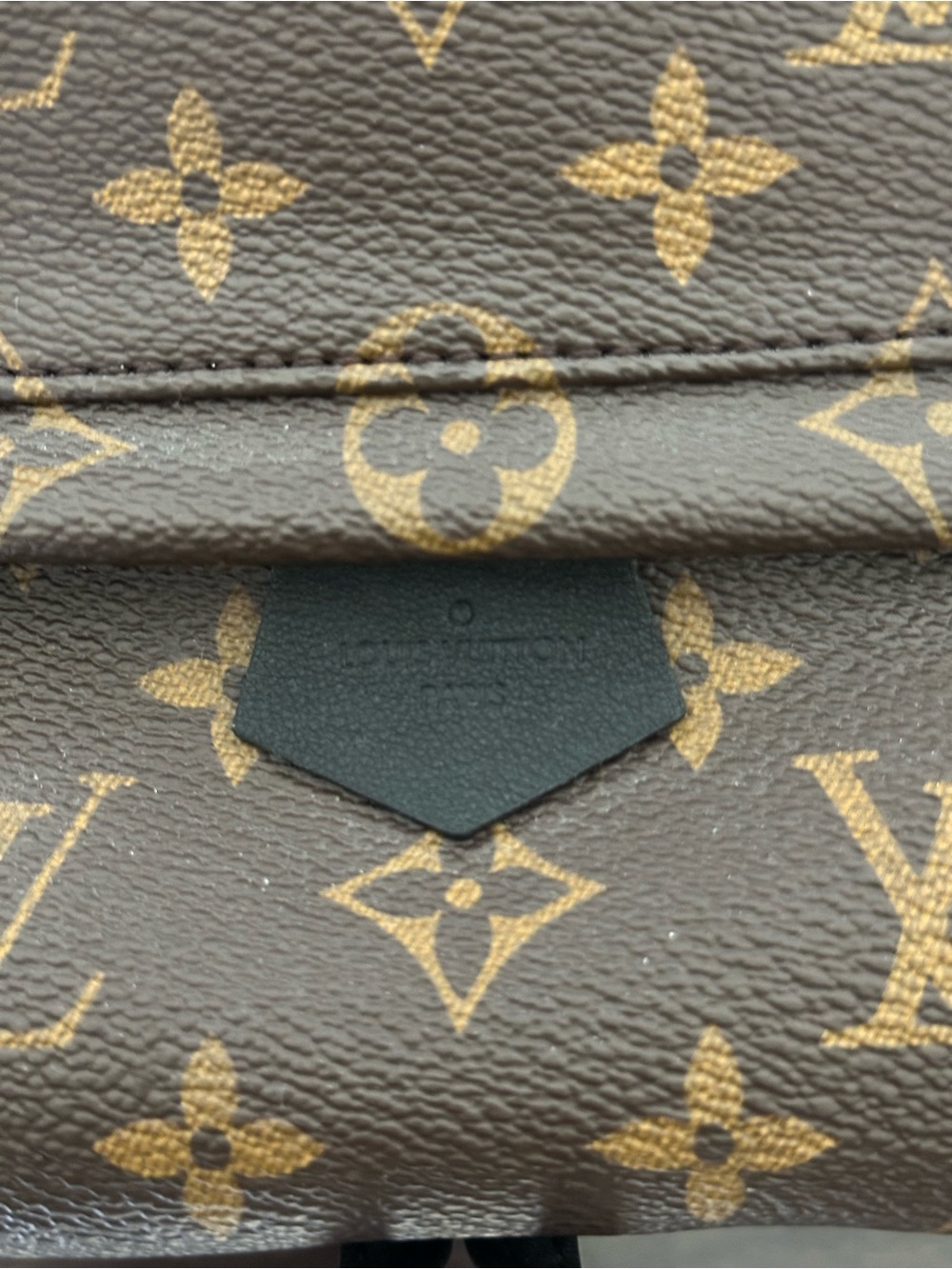Louis Vuitton Palm Springs Mini Backpack - Picture 6 of 16